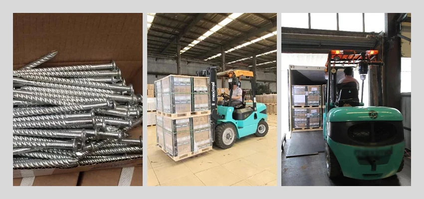 galvanized screw shank nails loading container galvanized screw shank nails loading container