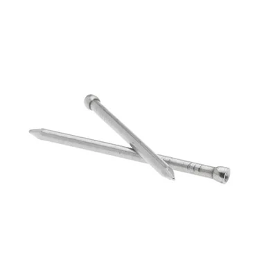 Žeblji iz nerjavečega jekla 16 Gauge